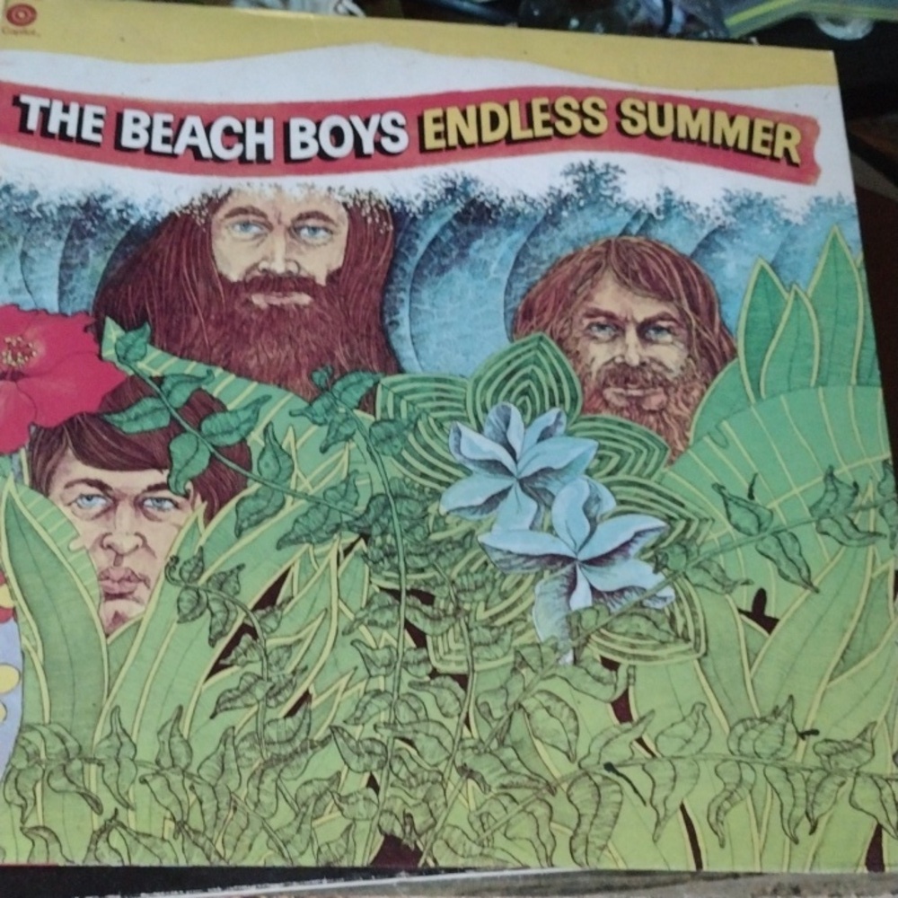 The Beach Boys LP
